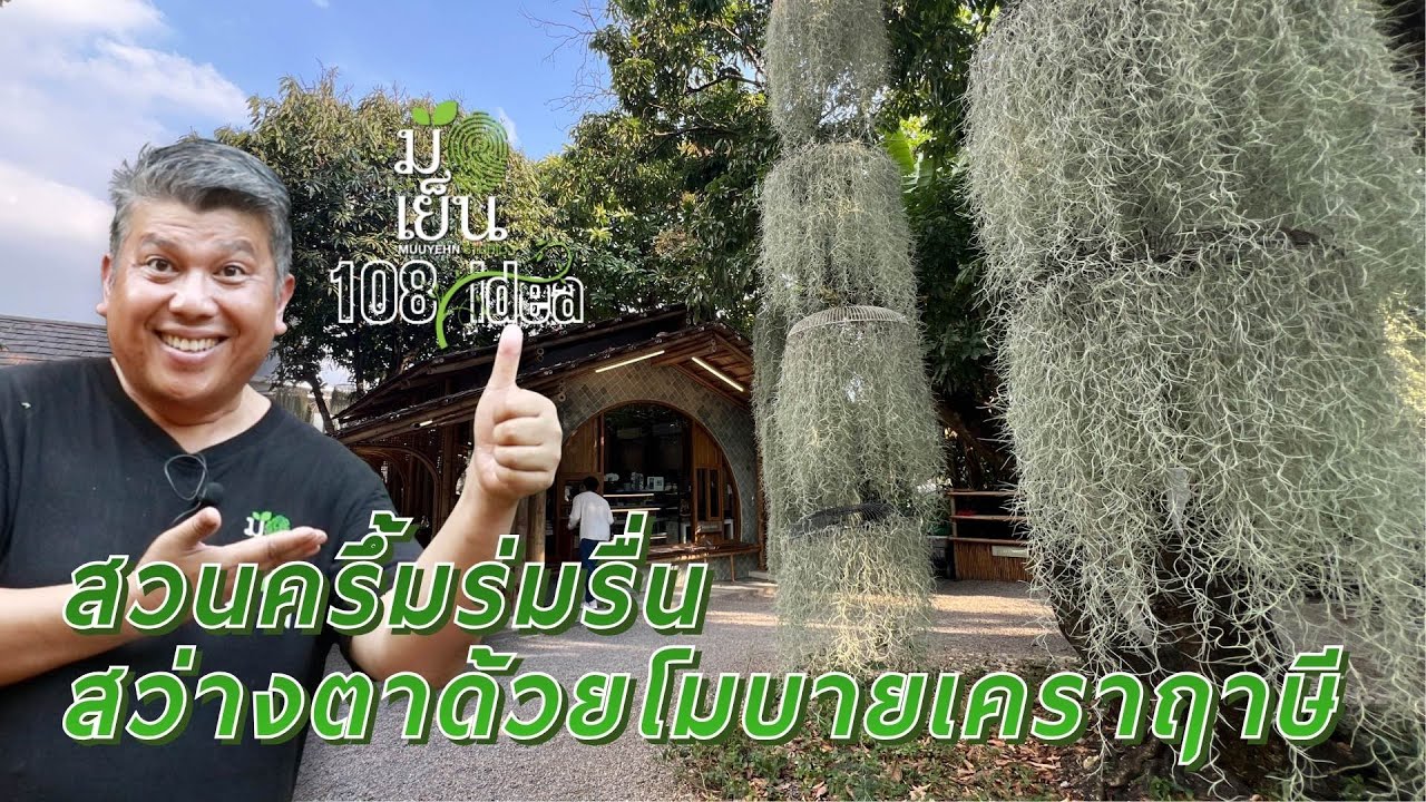 สวนครึ้มร่มรื่น สว่างตาด้วยโมบายเคราฤาษี I มือเย็น 108 พันไอเดีย