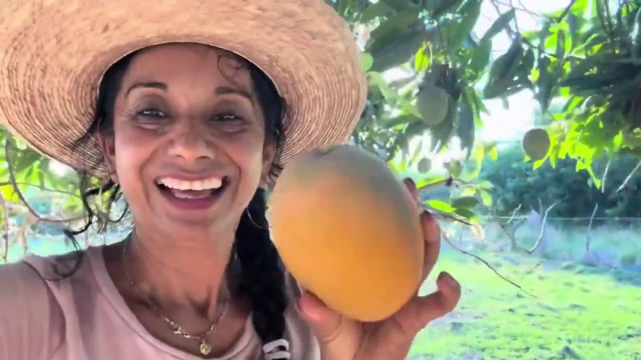 DESPIDIENDO A MIS SUEGROS + CORTANDO MANGO 🥭 + EN ALTAMIRANO