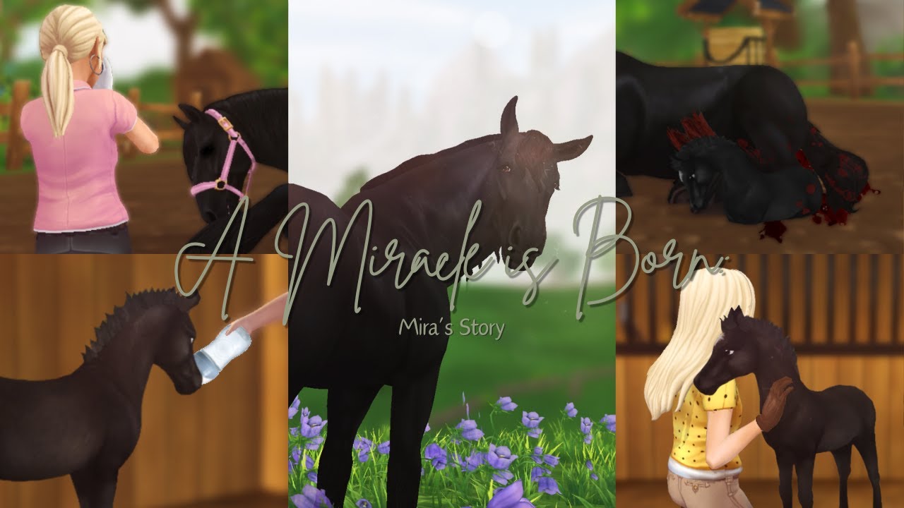 A Miracle is Born: Mira’s Story || SSO RRP