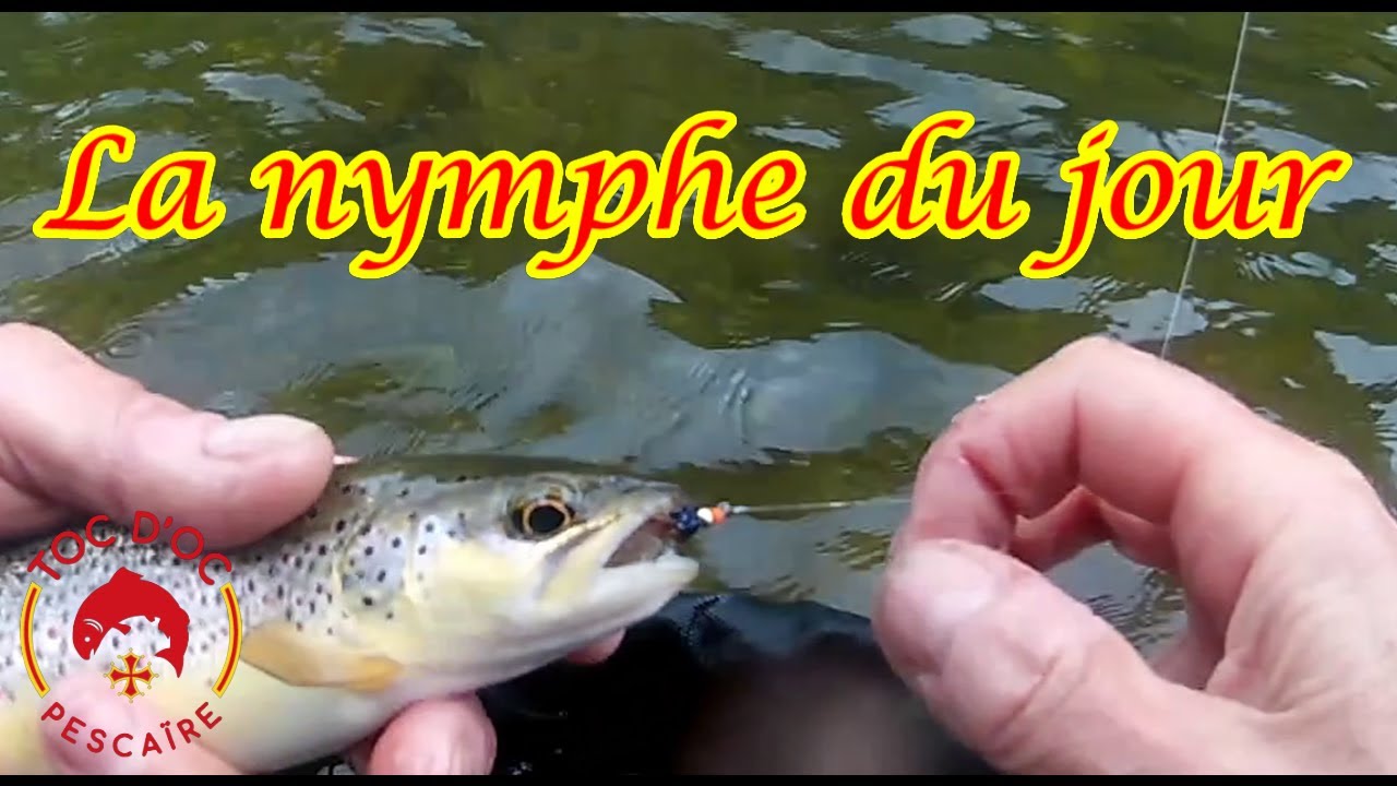 La nymphe du jour (pêche en nymphe au toc)