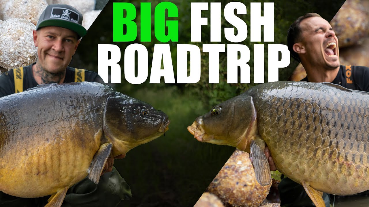 Karpfenangeln - BLB on the Road! | Black Label Baits | Roadtrip | Karpfen | Gewinnspiel