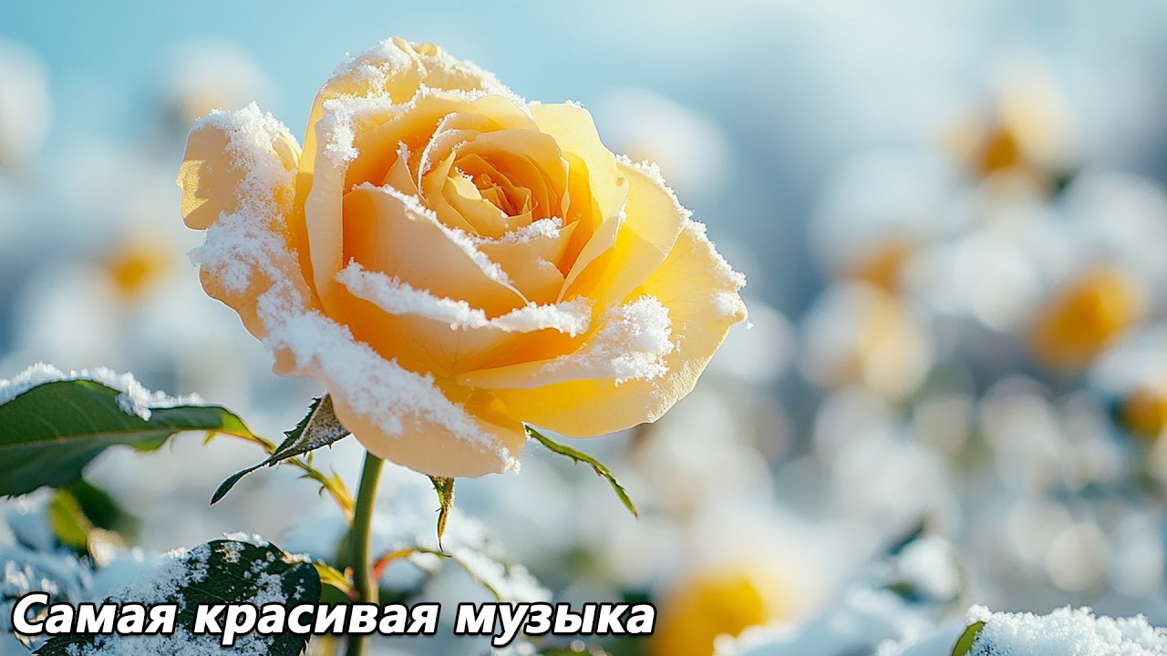Лучшая музыка 🌿 поможет снять усталость от стресса 🌿 успокоит нервную систему 🌿 Сергей Грищук