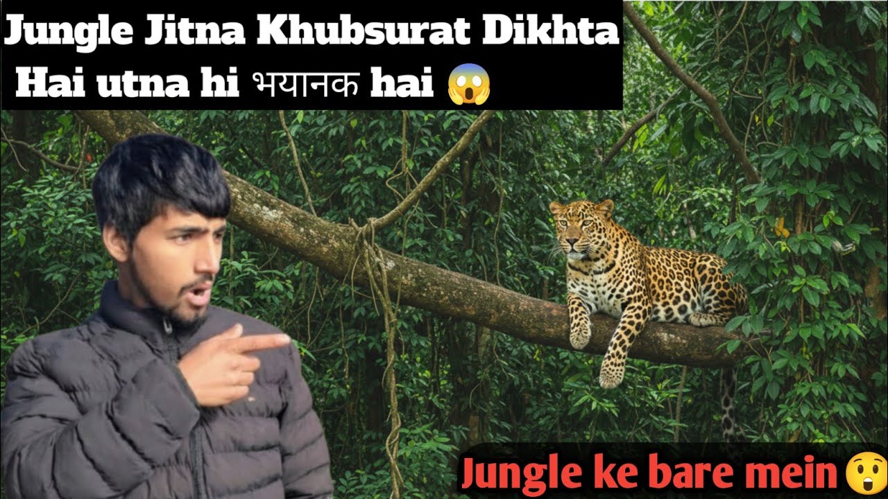 Jungle Jitna Khoobsurat Hai, Utna Hi Khatarnak Bhi 🌿⚠️ | Pahadi Jungle Sach😲