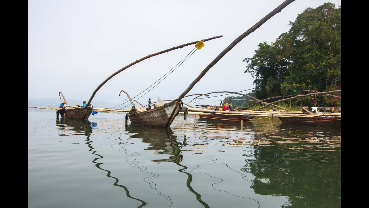 ONE MINUTE IN NKOMBO ISLAND 