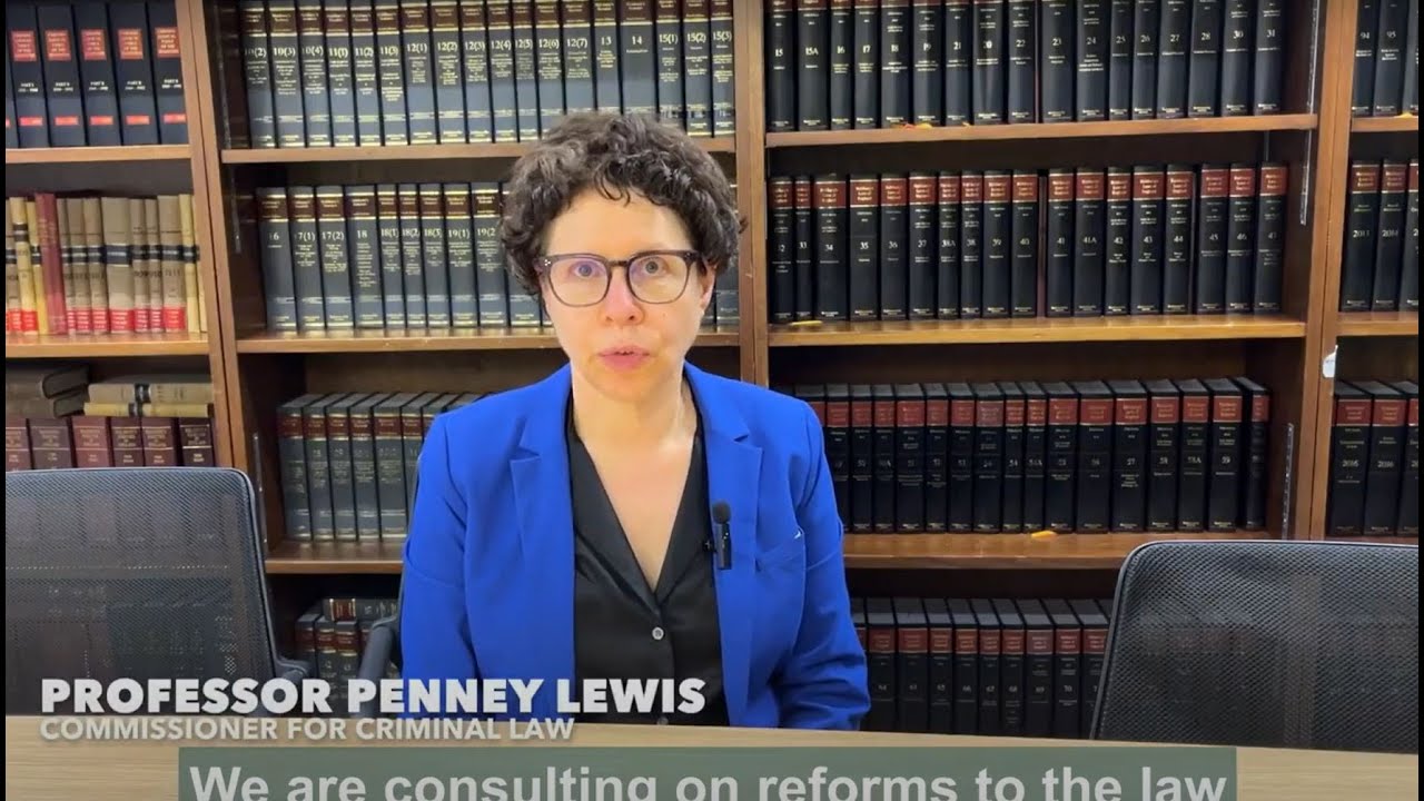 Criminal appeals consultation