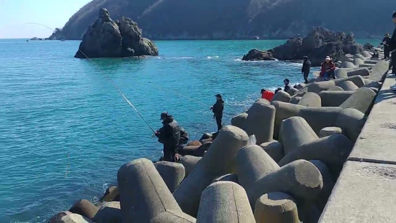 부산 가덕도 새바지  Busan Gadeokdo Daehang Saebagi Breakwater Hanghak Saury Fishing