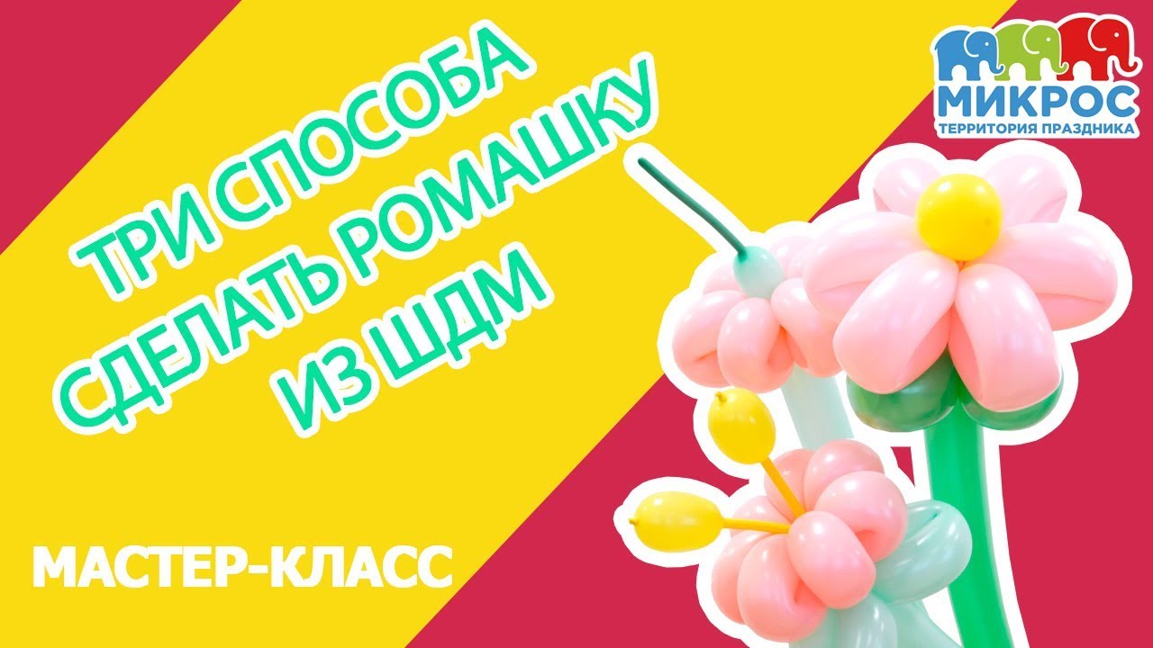 Как сделать ромашку из воздушных шаров своими руками? Мастер-класс 