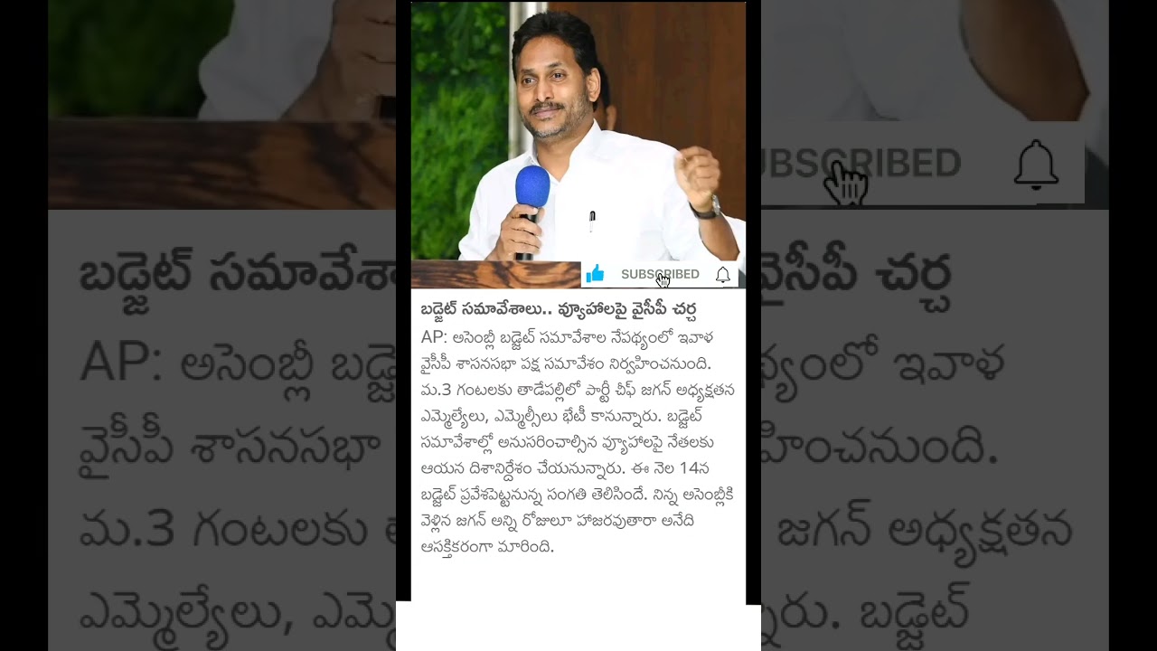 YCP plans for assembly budget session