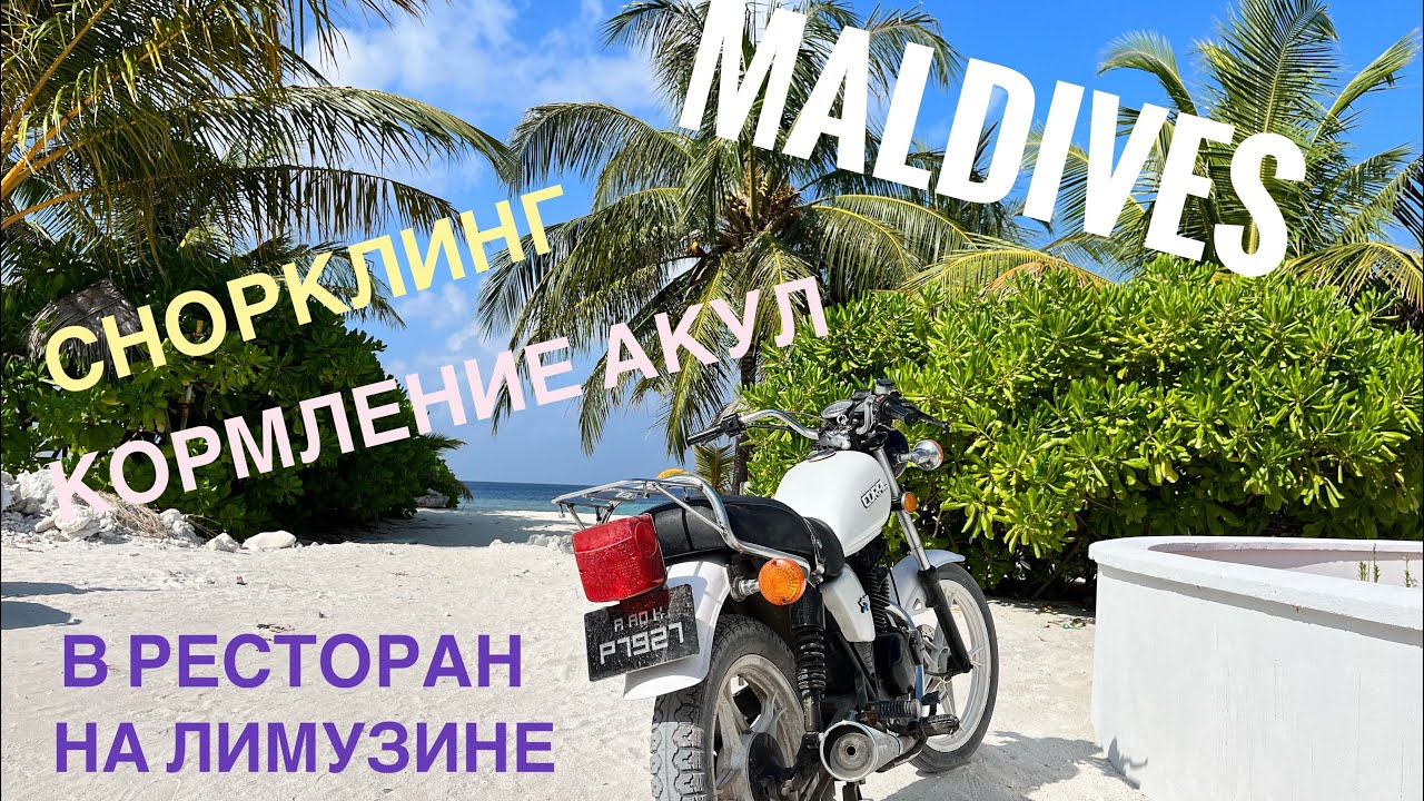 Мальдивы 2023 🇲🇻 о.Укулас Ukulhas /Снорклинг / Кормление акул/ В Ресторан на лимузине