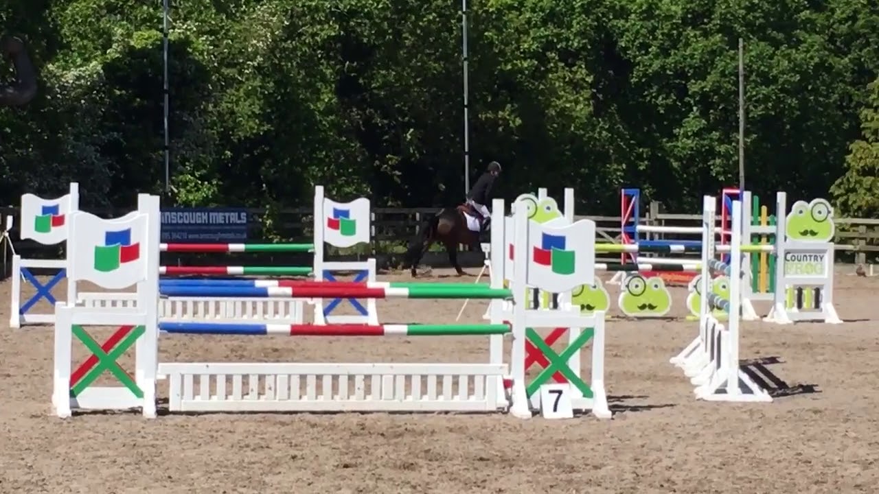 Indiana - showjumping