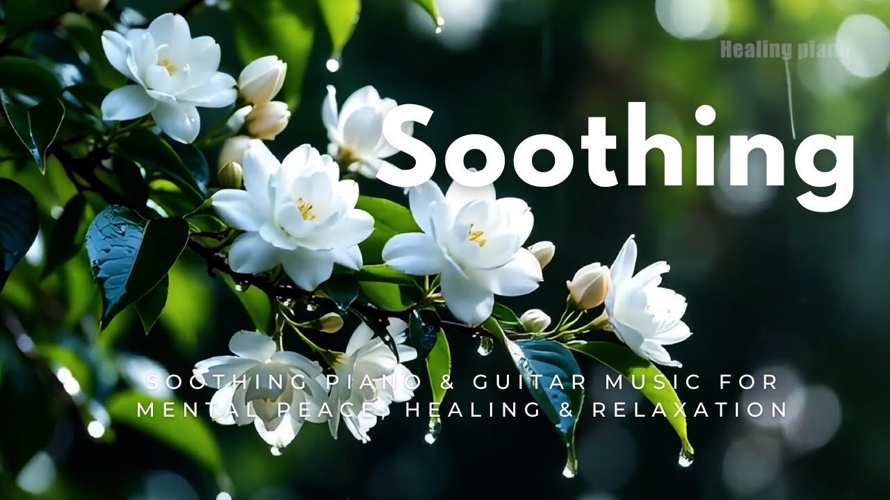 Soothing Piano & Guitar Music for Mental Peace, Healing & Relaxation 🌿