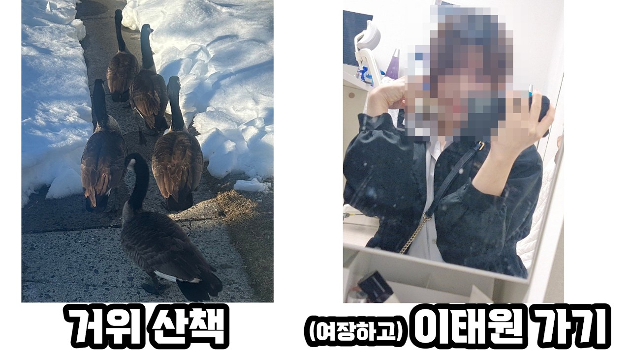 시청자들의 개쩌는 설날을 공개합니다