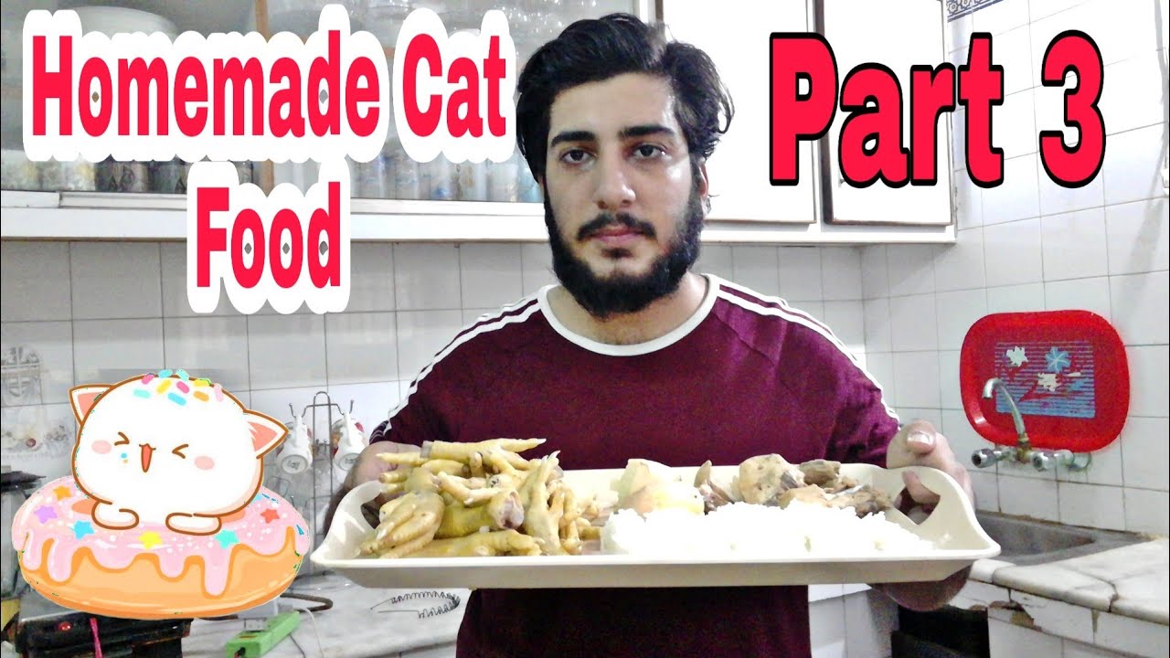 Homemade Cat Food | persian cat food recipe |how to make cheap homemade cat food at home |part 3