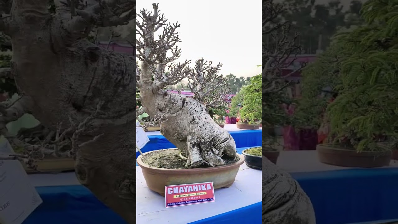 Muchisha National Agri-Horti Fair 2026