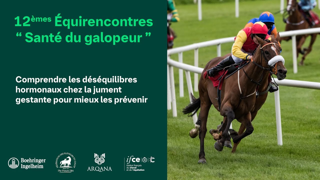 Comprendre les déséquilibres hormonaux chez la jument gestante pour mieux les prévenir