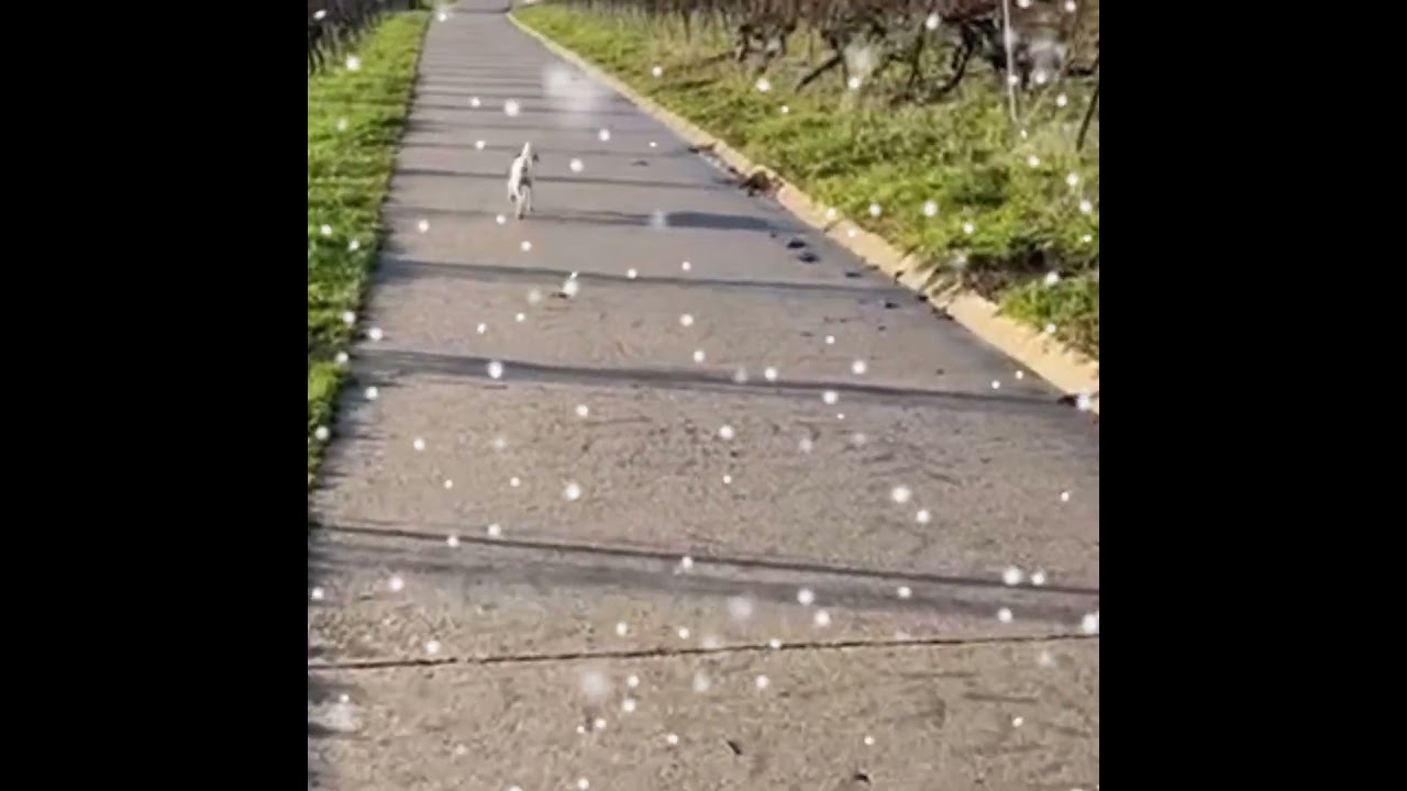 another sneak peek for tomorrow foreverfriday updates this time nina (bertha) living her best life