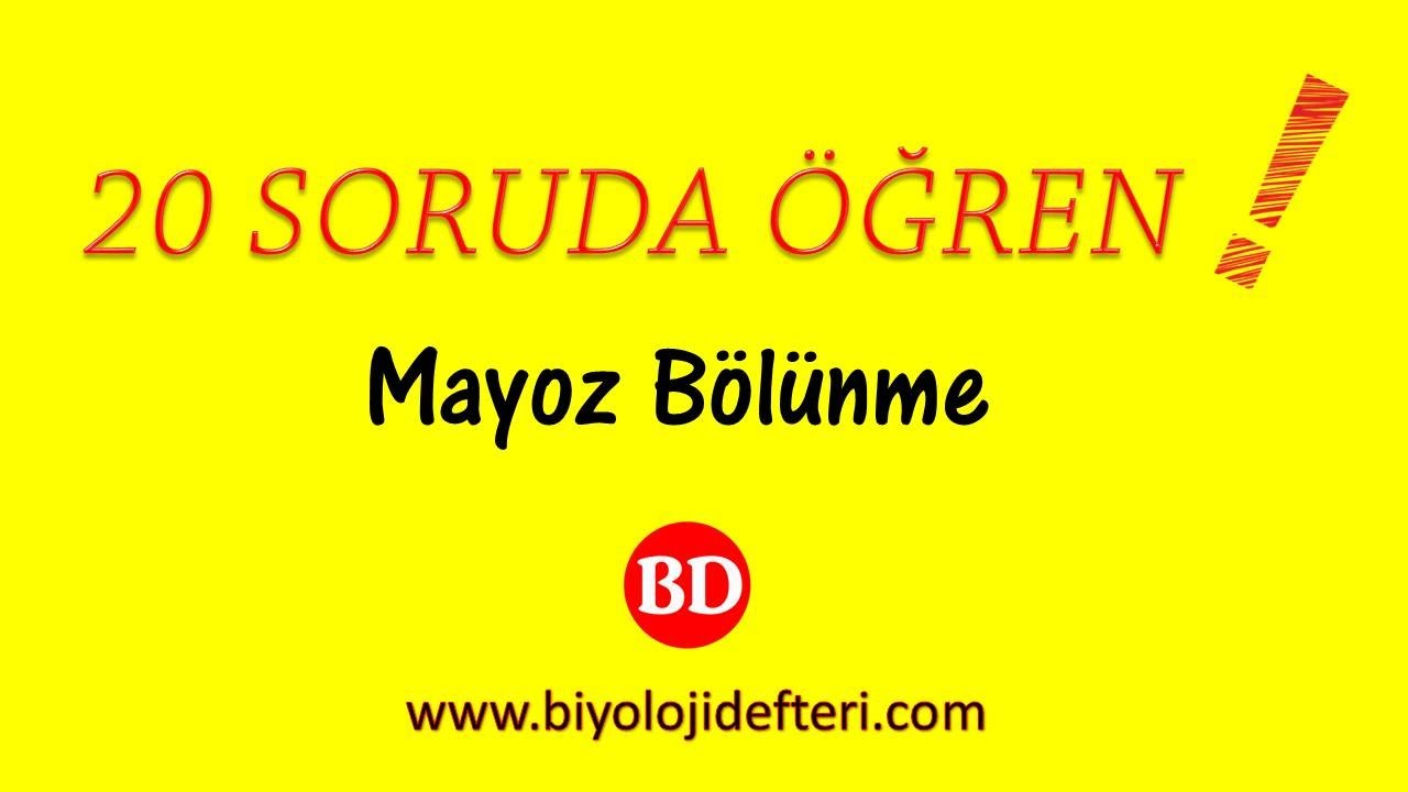 20 SORUDA ÖĞREN ! I Mayoz Bölünme#1 ( 1 - 10 Arası Sorular )
