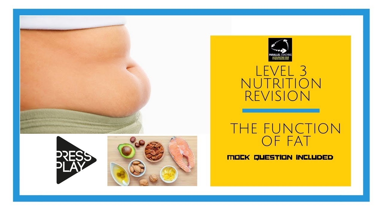 Level 3 Nutrition Revision  - The function of fat