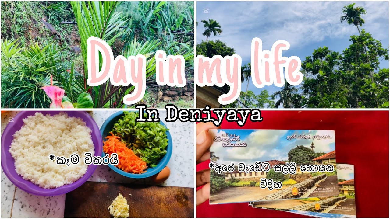 Day vlog ✍🍄🌚|අලුත් තැනක ඉදන්🥰🍄| කන්නම ගියපු ගමනක් 🥲| ඔයාගෙ අක්කත් මෙහෙමද 😌| පුංචි නුවරඑලියෙ ගියා 🎀🎅🦋