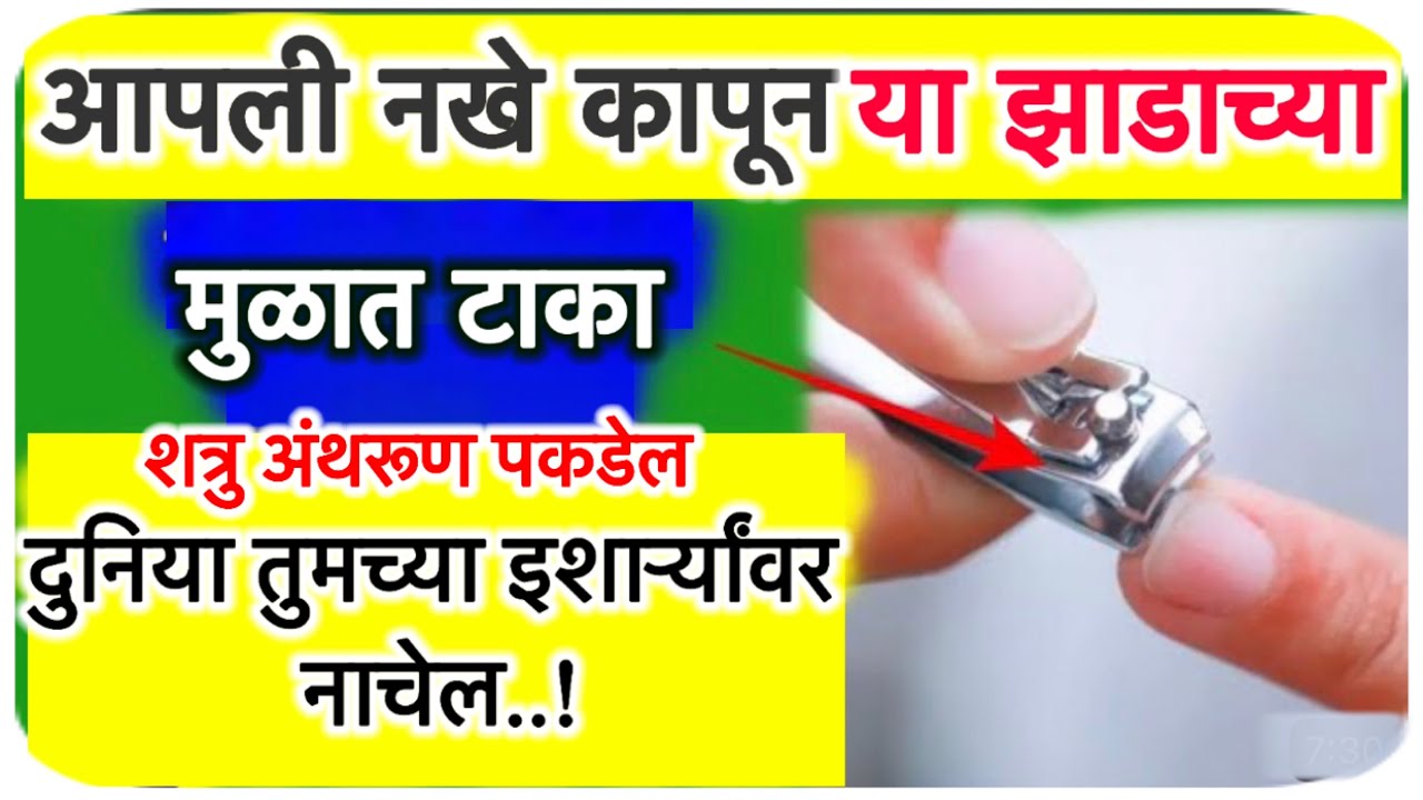 आपली नखे कापून या झाडाच्या मुळात टाका दुनिया तुमच्या इशार्र्यांवर नाचेल..🌷🙏🏻