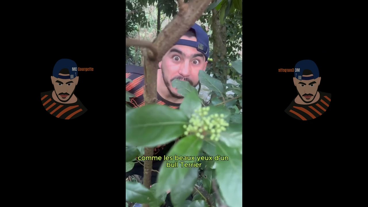 MC Courgette - Courgette style ( Clip )