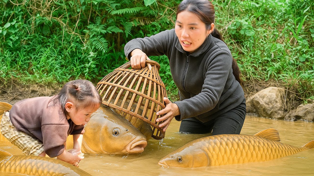 A Lucky Catch - Catching Giant Carp by BARE Hand to Sell at Market with Single Mom
