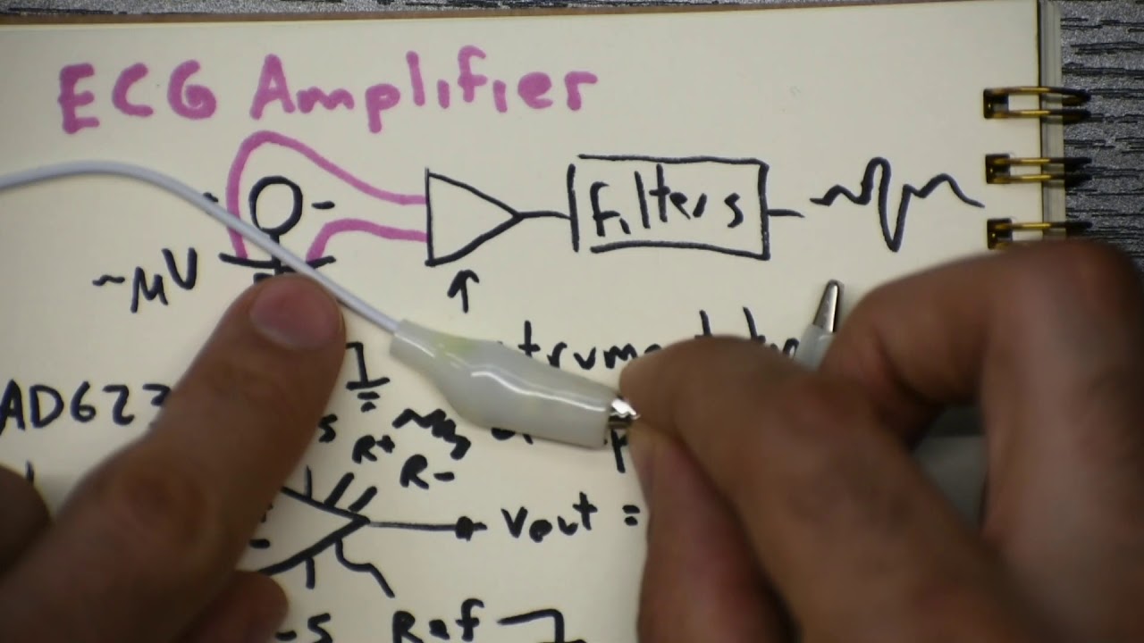 Build an ECG Amplifier
