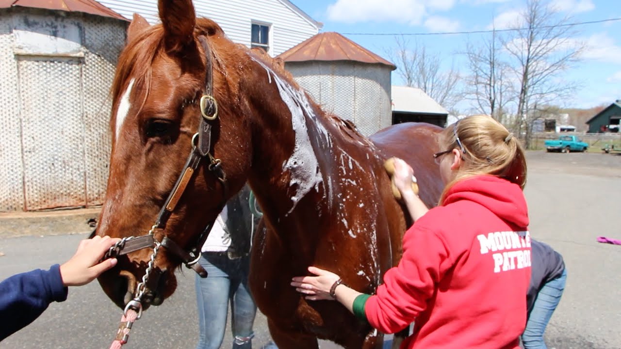 Rutgers Students Patrol Campus on Horseback