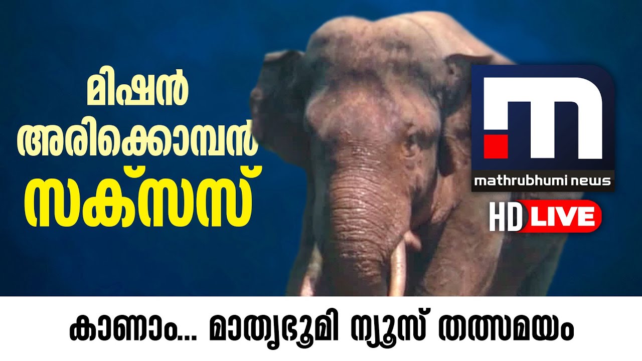 Mission Arikkomban |  Mathrubhumi News Live HD | Arikomban | Malayalam News Live