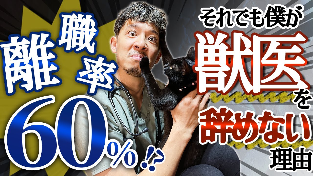 動物病院は超ブラック!?獣医師の光と闇を大暴露します【保護犬、保護ねこ】