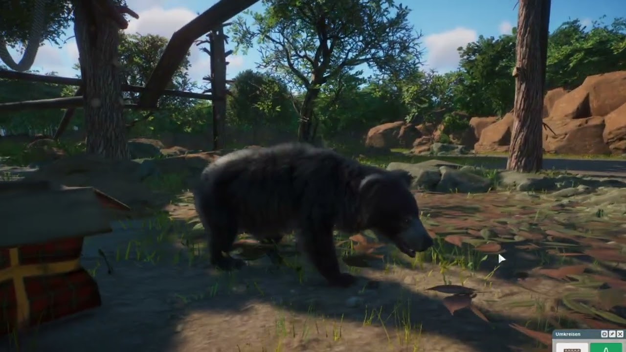 Showcase of a Beautiful Sloth Bear Habitat