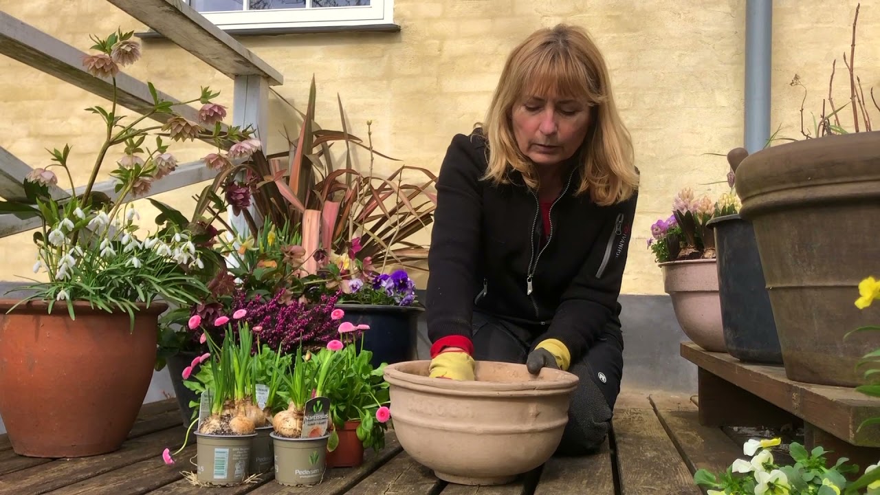 Lottes have, plante i krukker