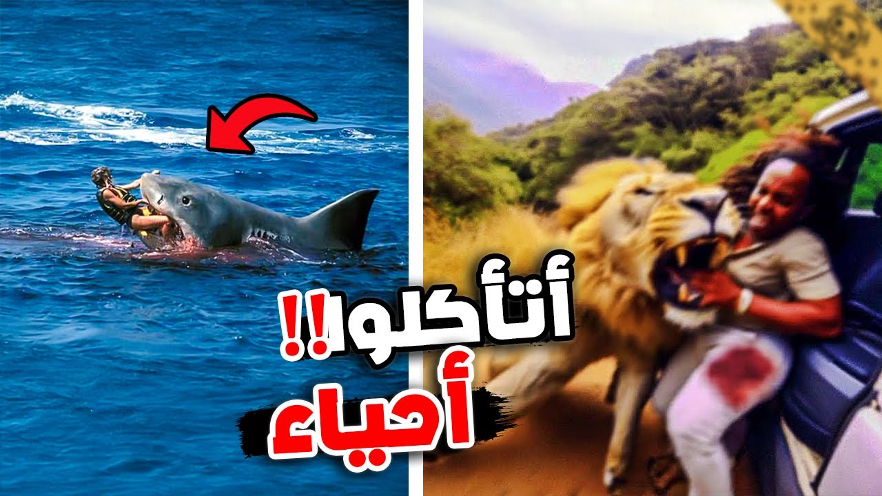 أخطر هجمات الحيوانات المفترسة !!