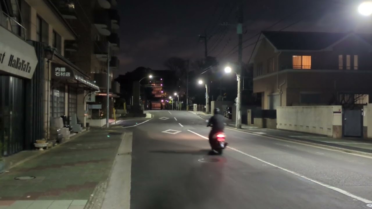 🇯🇵20260309春の池上本門寺　参道から眺めるSpring at Ikegami Honmonji Temple – View from the Temple Approach
