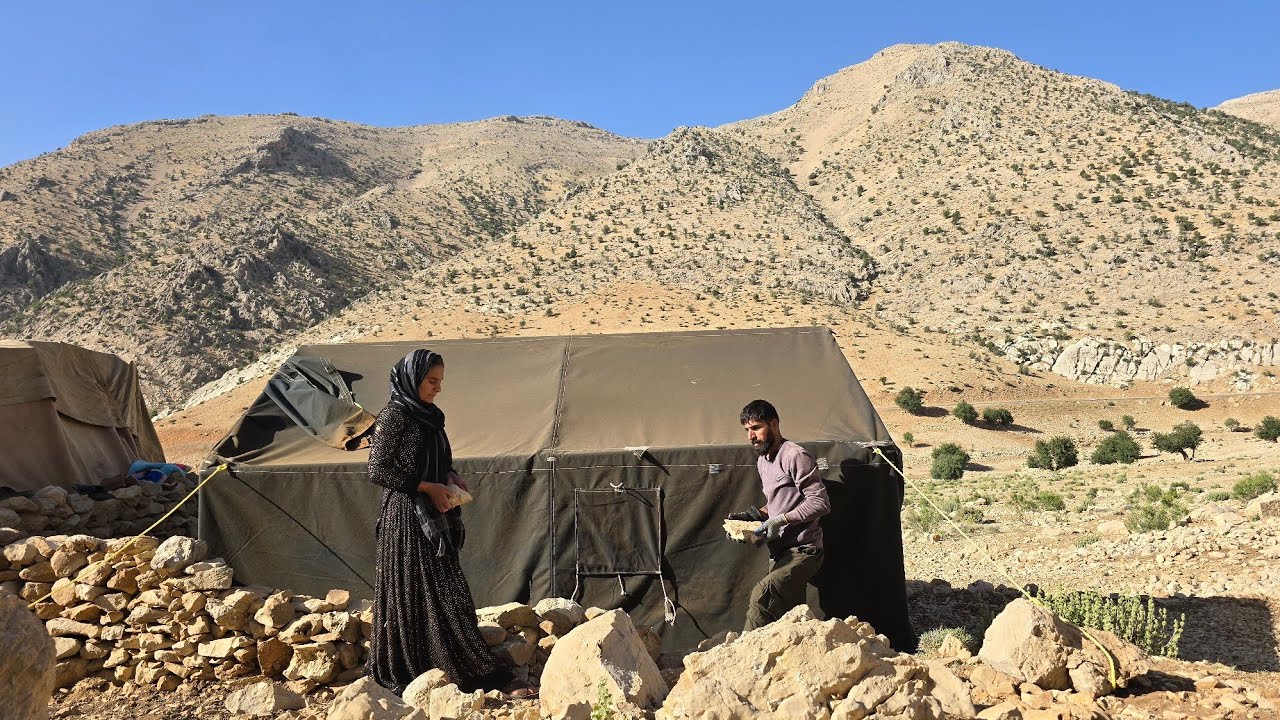 The harsh life of nomads in the mountains | Building a stone wall to withstand the harsh cold