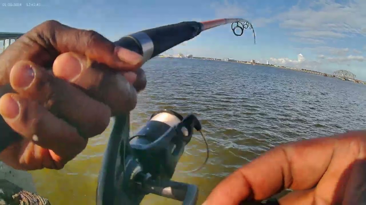 Ocean Springs pier, Bite every cast 23 sept 2025