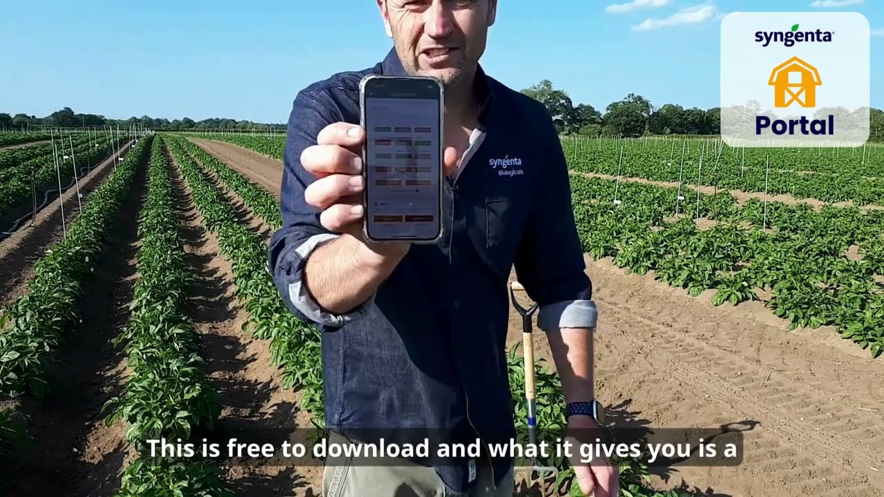 Beat the Heat Stress with QUANTIS™ | Syngenta Portal App