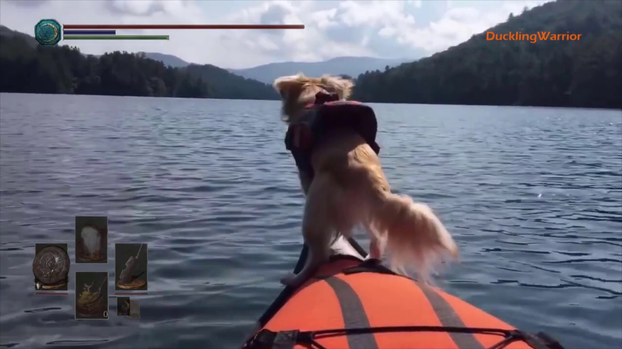 Dark souls meme compilation (You died memes) #Ds3tube
