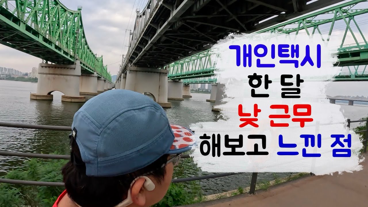 [TAXI] 개인택시 한 달간 낮 근무 해보고 느낀 점