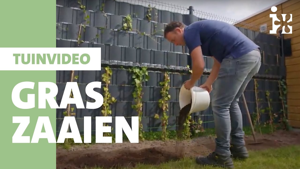 Intratuin - Gras zaaien