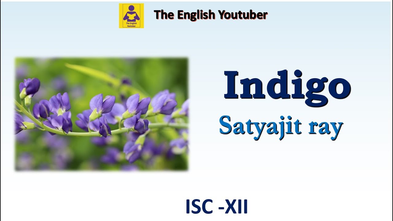 Indigo by Satyajit ray | line by line explanation of the story| Themes |ISC class 12 | ISC board