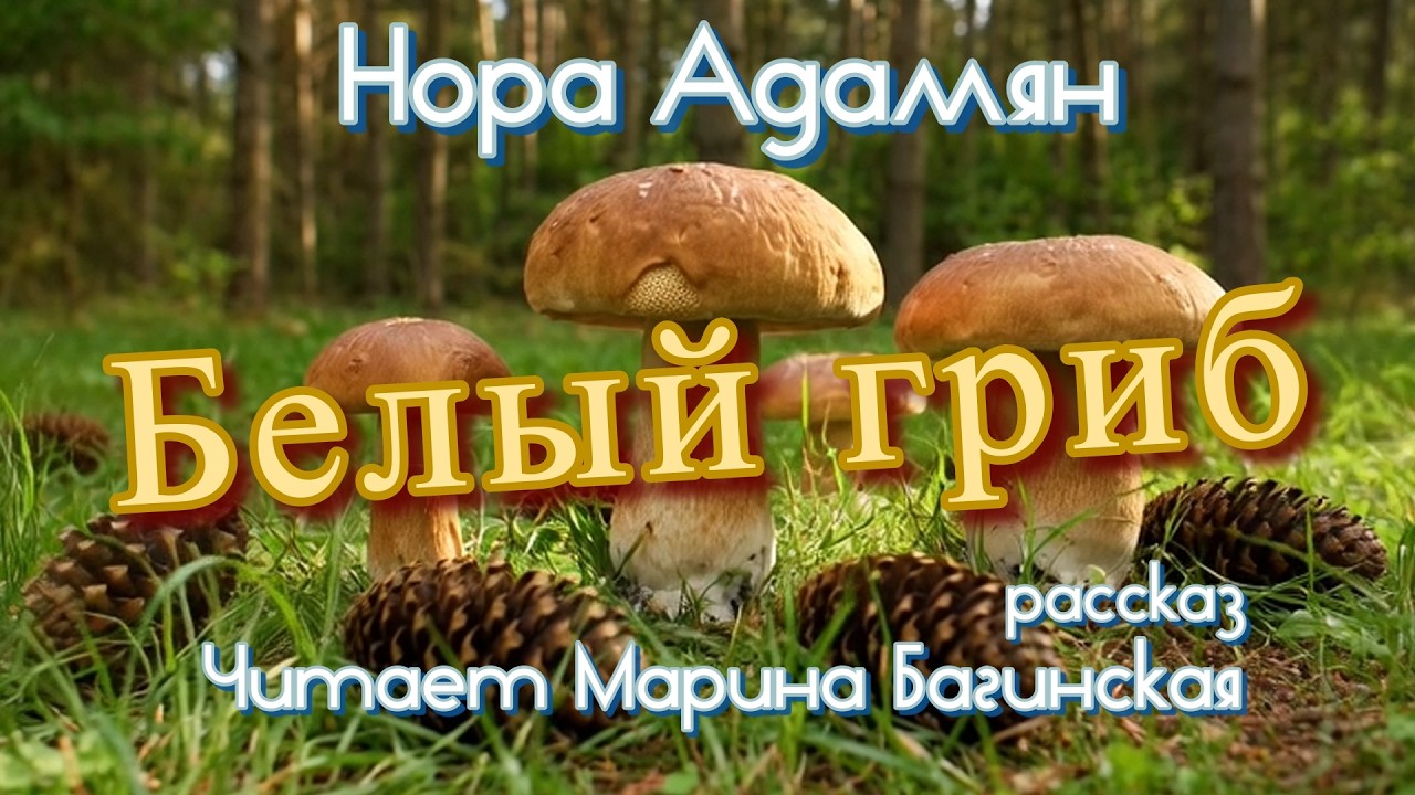Нора Адамян 