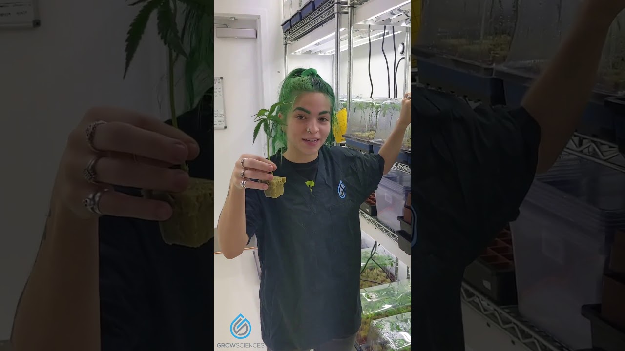 Grow Sciences - Meet Grace!