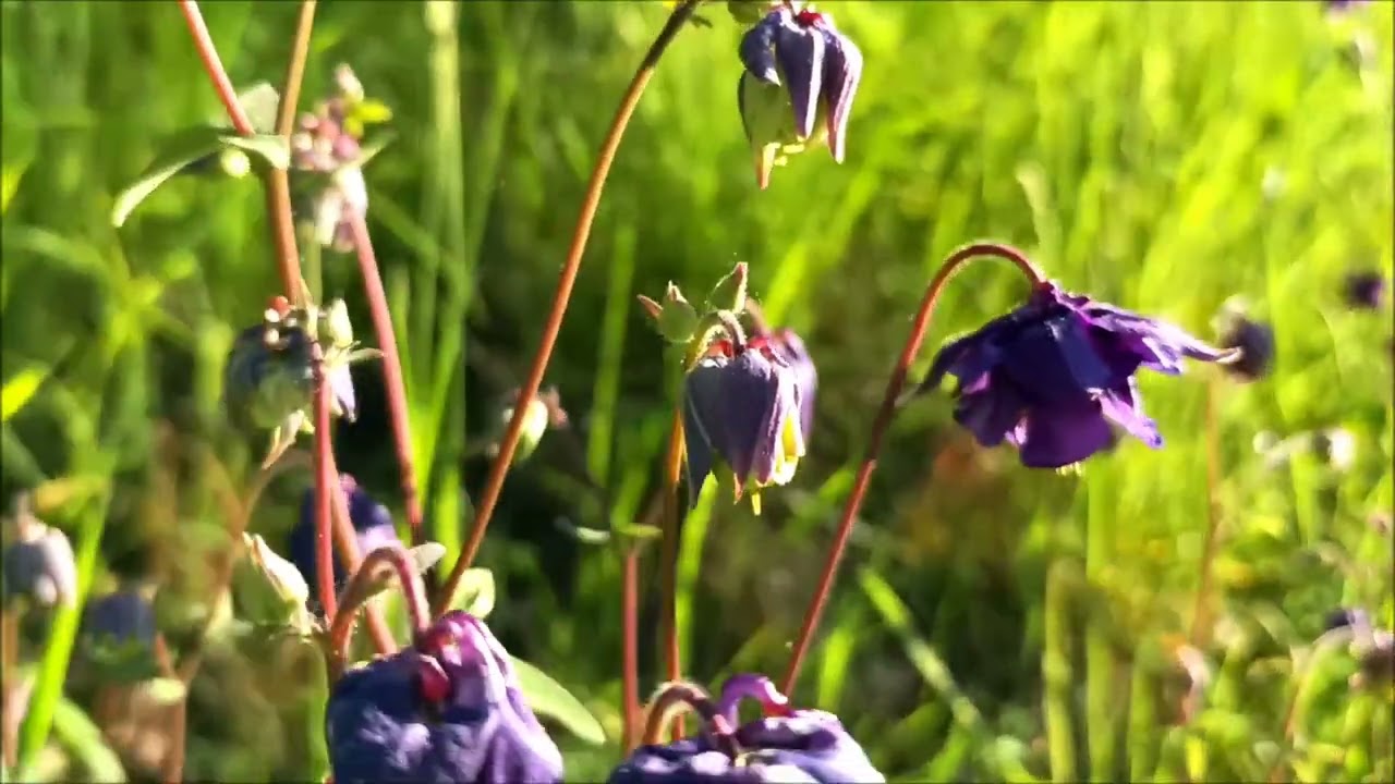 Nature Love. Time To Relax.