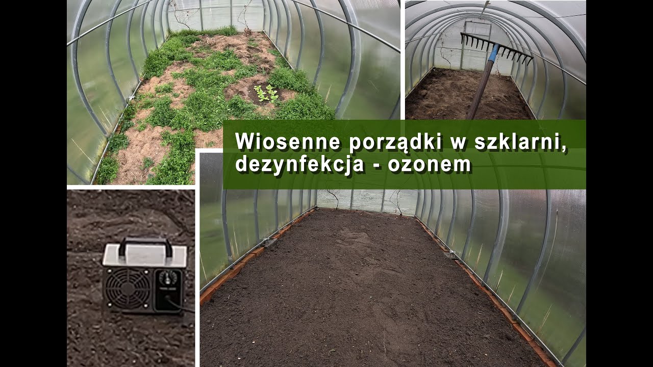 Wiosenne porządki w szklarni, dezynfekcja - ozonem