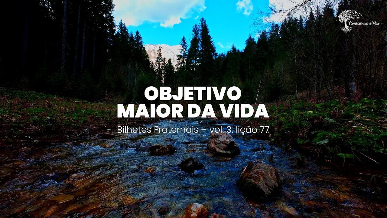 Objetivo Maior da Vida