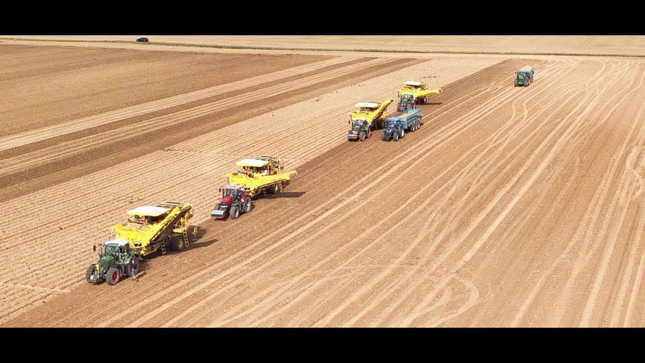 4 arracheuses Ropa dans la même parcelle ! | AGRI-BEAUCE 2024