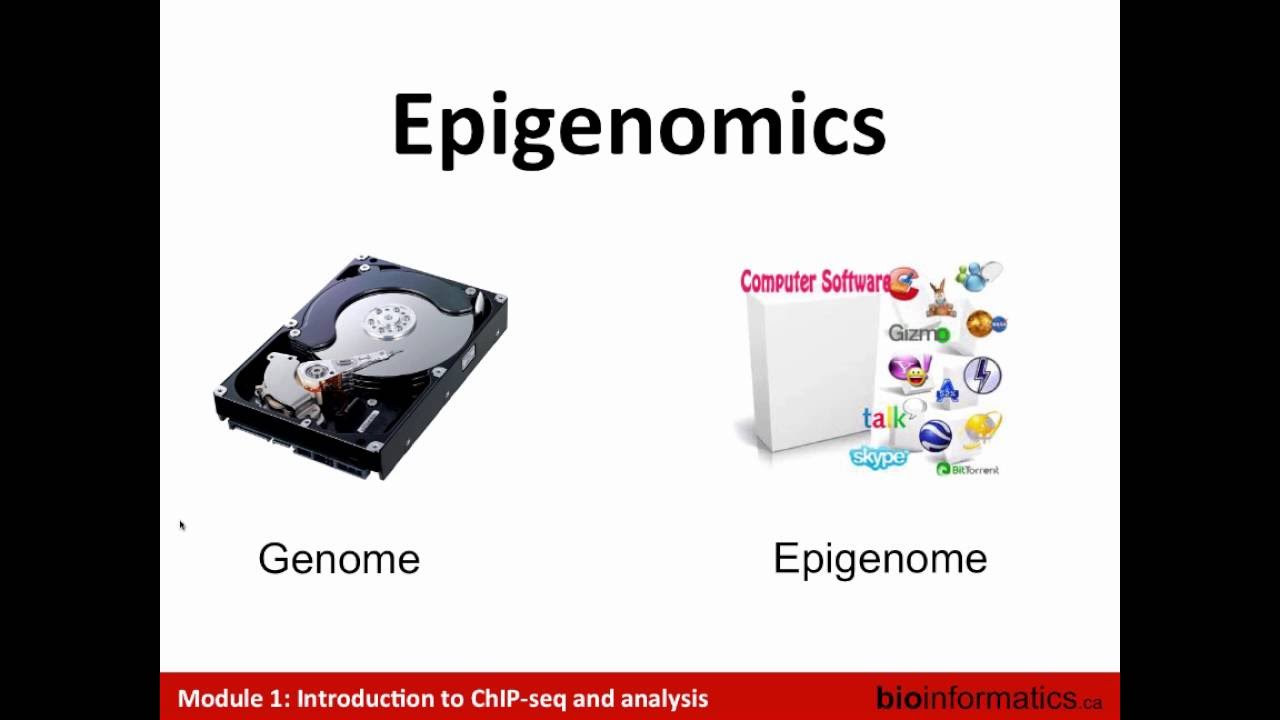 Introduction to ChIP Sequencing and Analysis