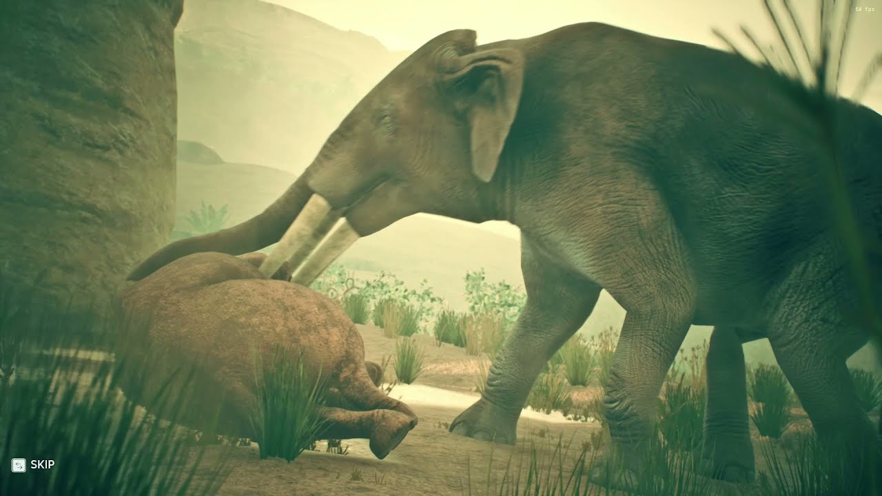Elephant Angry In Ancestors |Part 102