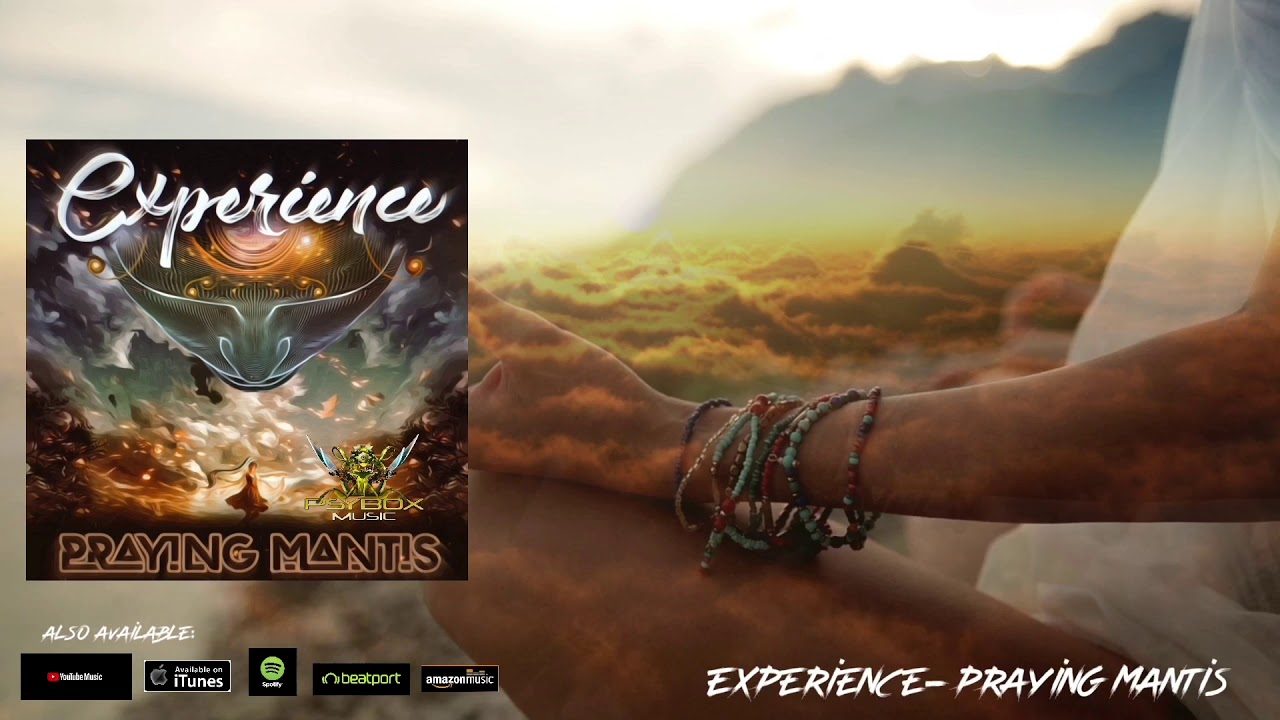 Praying Mantis - Experience
